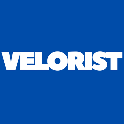 veloriststore.com