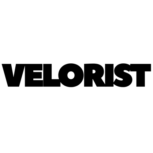 veloriststore.com